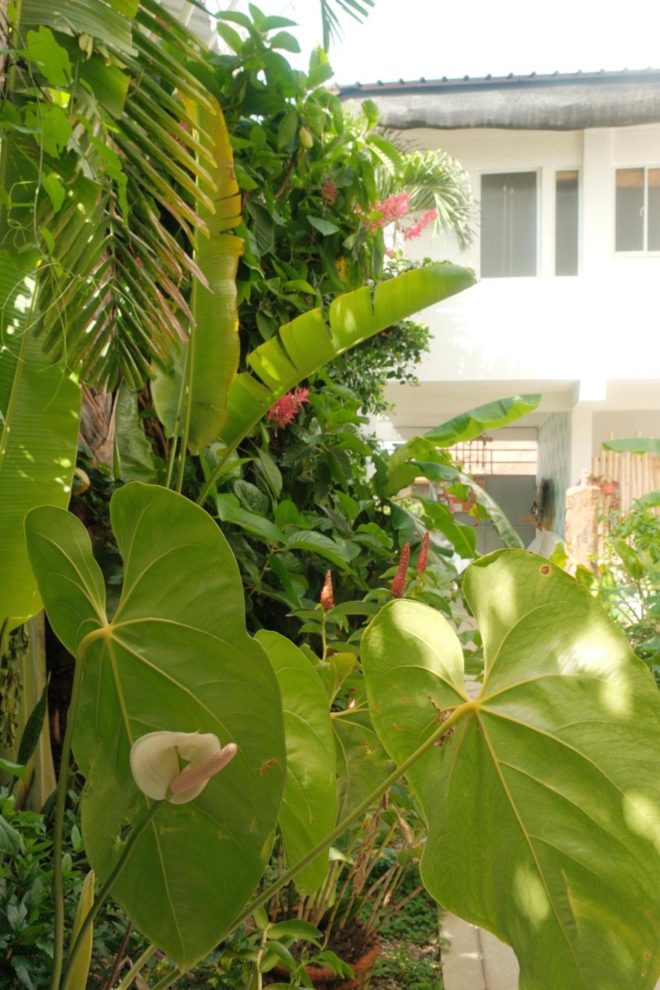Kite House Cabarete Across Kite Beach Εξωτερικό φωτογραφία